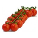 graines de Tomate Cerise