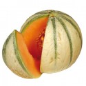 graines de Melon Charentais