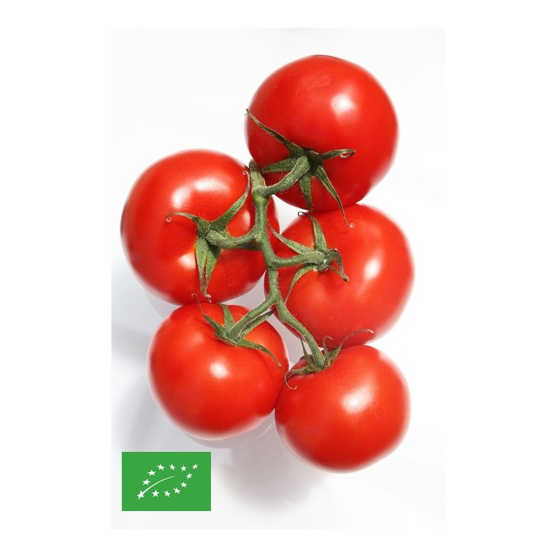 Tomates BIO - Acheter des graines pas cher